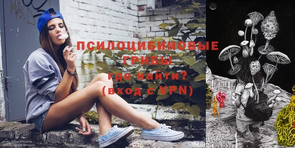 PSILOCYBIN Абинск