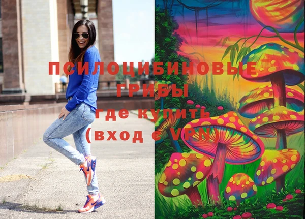 Альфа ПВП Абаза