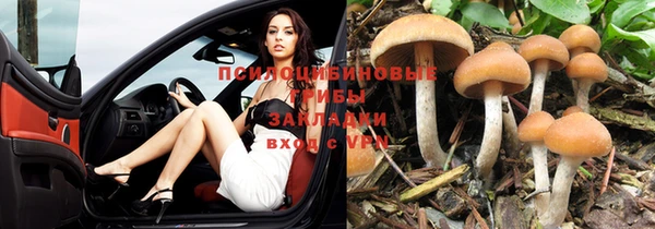 PSILOCYBIN Абинск