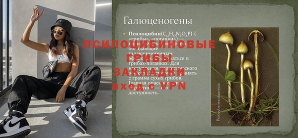 PSILOCYBIN Абинск