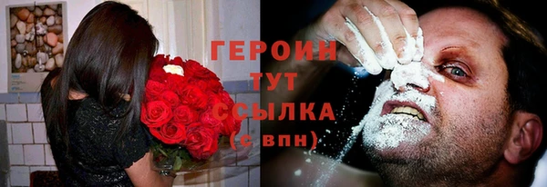 индика Новозыбков