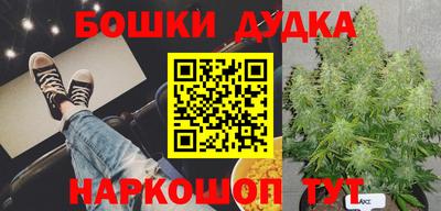 Альфа ПВП Гусиноозёрск