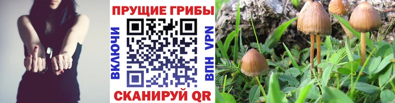 Галлюциногенные грибы мухоморы  Магнитогорск 