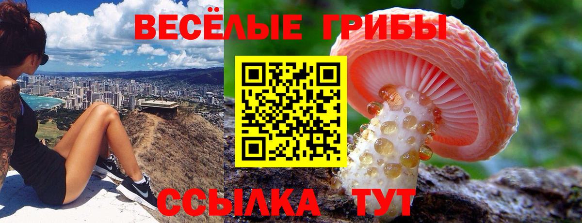 Магнитогорск  Галлюциногенные грибы прущие грибы  Галлюциногенные грибы MAGIC MUSHROOMS  Вход с VPN 